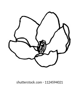 Flower sketch. Vector illustration. Brush drawing of flower of apple tree. Apple tree flower vector illustration.