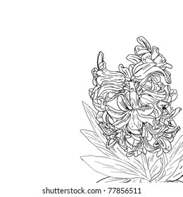 flower sketches collection