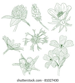 flower sketches collection