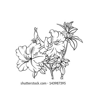 the flower in spring