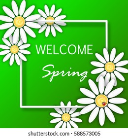 Flower Spring Background