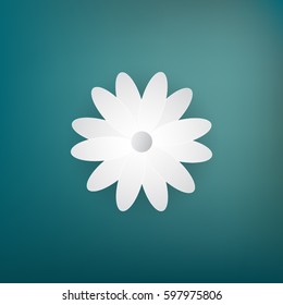 flower spring Beautiful White color Abstract background,vector illustration