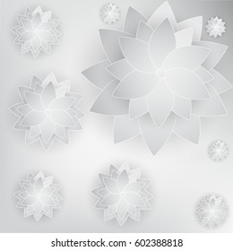 flower spring Beautiful White color Abstract background,vector illustration