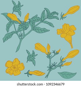 FLOWER spring  CIRCLE TEMPLATE TEXT 