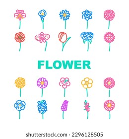 flower spring floral nature icons set vector. blossom summer, silhouette garden, abstract petal, plant shape, leaf minimal flower spring floral nature color line illustrations
