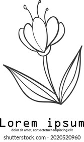 flower spring leaf organic botanical minimal natural logo vintage background 