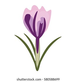 flower spring natural decoration
