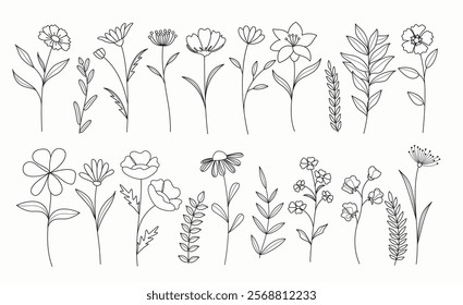 Flower spring outline clip art set. Spring flowers black and white drawing lines clipart in doodle, hand drawn and sketch flat collection. Vector illustration floral elements set. 
