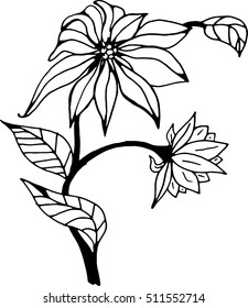 Flower spring. Vector illustration of a blossom flower. Hand drawn flower.