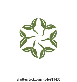 Flower Star Decorative Logo Template Illustration Design. Vector EPS 10.