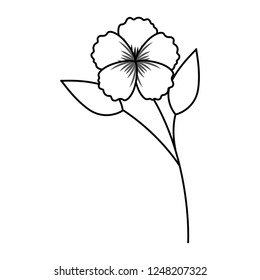 flower stem botanical on white background