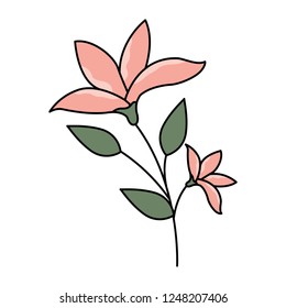 flower stem botanical on white background