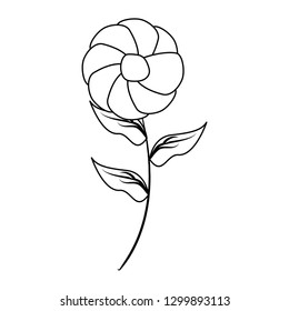 flower stem decoration