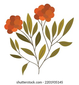 flower stem leaves icon isolated