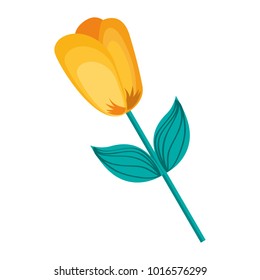 flower stem petal leaves natural spring image