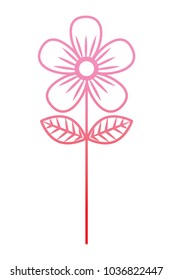flower stem petals decoration image
