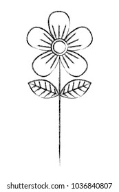 flower stem petals decoration image