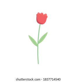 flower stem petals decoration isolated white background vector illustration