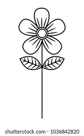 flower stem petals decoration nature