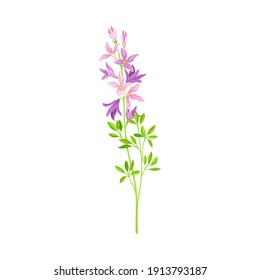 Flower Stem or Stalk with Violet Florets as Meadow or Field Plant Vector Illustration