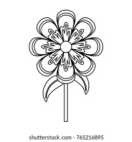 flower  stem  vector illustration