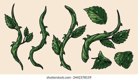 Flower stems colorful set labels with green plants with thorns and petals for nature book design vector illustration