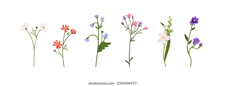 Blumengestelle. Frühlingsblüten, Feld- und Wiesenpflanzen. Sanfte florale botanische Elemente. Delikate Vergessenheit-me-nots, Freesie, Panik. Flache grafische Vektorgrafiken einzeln auf weißem Hintergrund