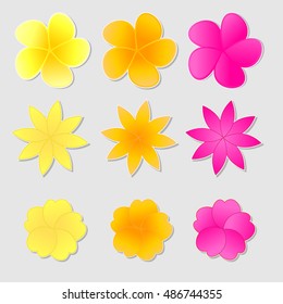 Flower stickers vector