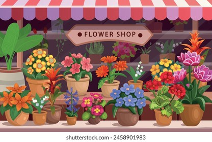 Flower  store. Flowers are on the shelves. Large set of indoor plants and flowers.Set of flowers in pots.Interior of a flower shop. Beautiful showcases with many flowers Large set of indoor plants 