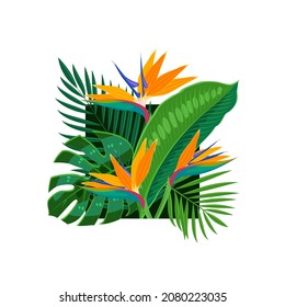 Flower strelitzia and tropical leaves. Vector illustration cartoon flat template for packaging design on white background.