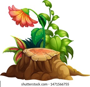 Flower and stump wood on white background illustration