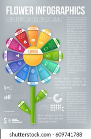 Flower style infographic colored chart, options or menu, vector page template for workflow layouts, presentation and web design