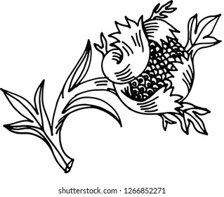 Flower stylization vintage graphics vector