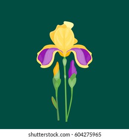 Flower summer natural plant vector illustration.