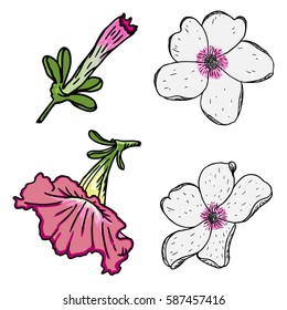 Flower of summer set. Tropical exotic and domestic flowers collection in bright colors and drawing style. Vector.