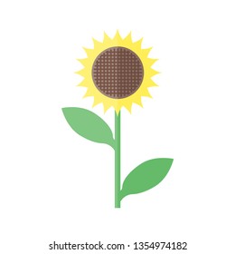 flower sunflower in flat style on white background