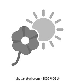 Flower in sunlight