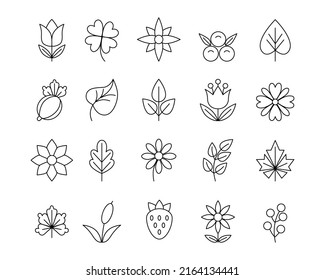 Flower symbols. Plant thin line logo. Botanical ornament pattern elements. Berries and leaves. Organic modern shapes. Clover or maple foliage. Buddhism and beauty. Vector icons set