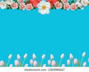 Flower template background, blue background, any type of flower for edit 
