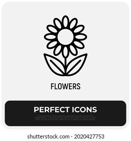 Flower thin line icon. Modern vector illustration.