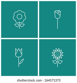 flower thin line icon set