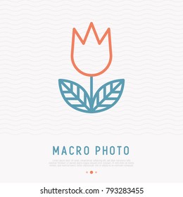Flower thin line icon, symbol of macro photography mode. Modern vector illustration.