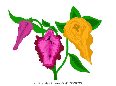 flower with three shapes and three colors without background