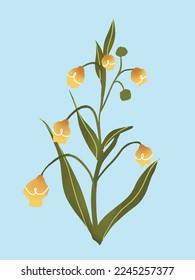 Flower tiny plants hand drawn aesthetic style collage illustrations elements