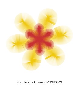 Flower of translucent elements. Structure
