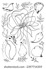 Flower transparent petals symbol outline flora leaf leaves petals branches black line graphic

