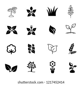 Flower and Tree Icon Set