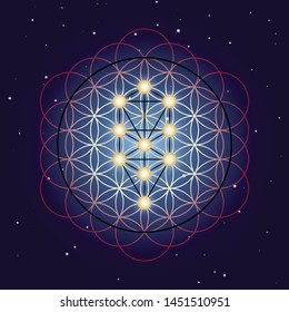 Flower and Tree of Life, sacred geometry on starry sky background.