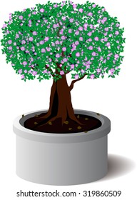 flower tree in small cement pot
