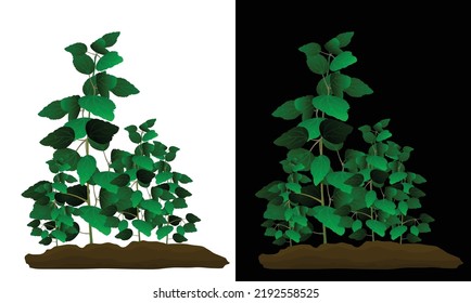 Flower tree vector  illustration designs
